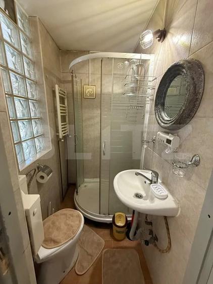 Apartament 1 camera | 35 mp | Gradina | Pet Friendly | Andrei Mure?anu - 7