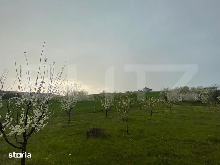 Teren de 4447 mp, în Pielești