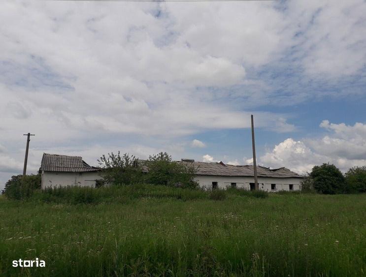 Abator pasari - Nadlac, Arad - 2