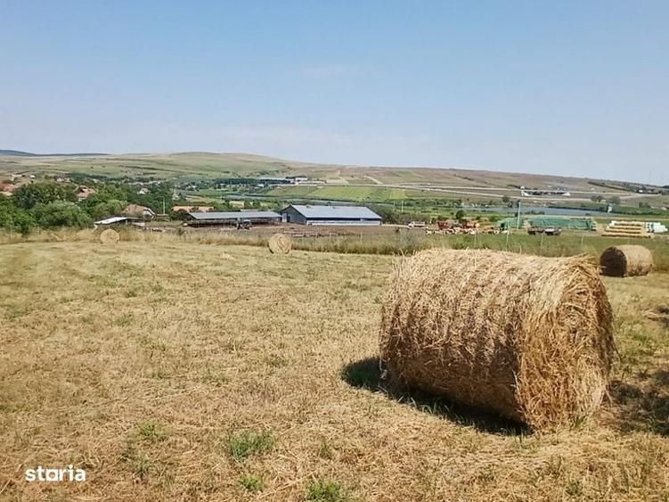 Casa in Comsesti cu teren intravilan 1800mp, acces bun - 1