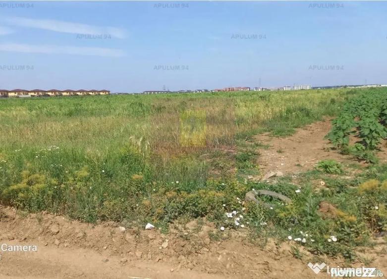 Teren în Dobroești