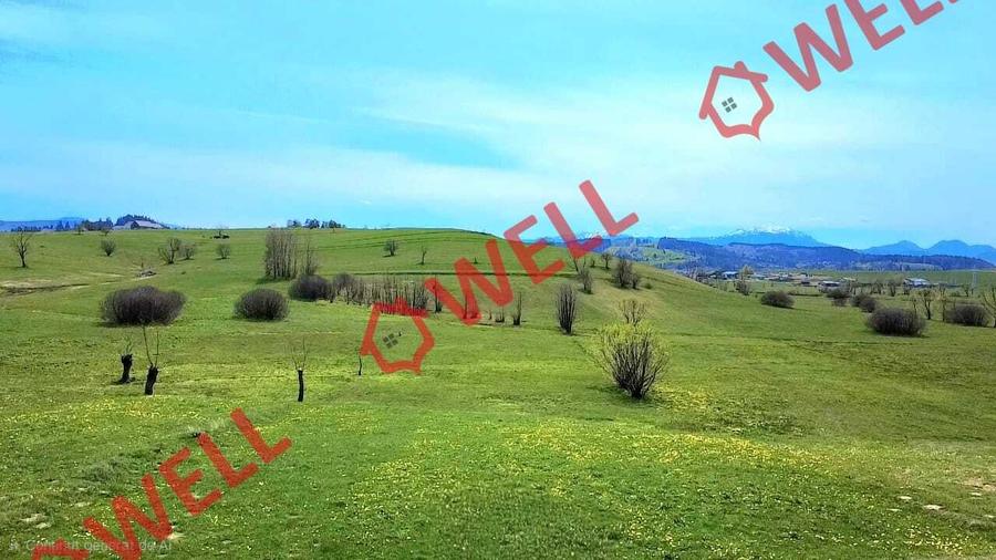 Teren agricol extravilan de 6519 mp, în Sărămaș