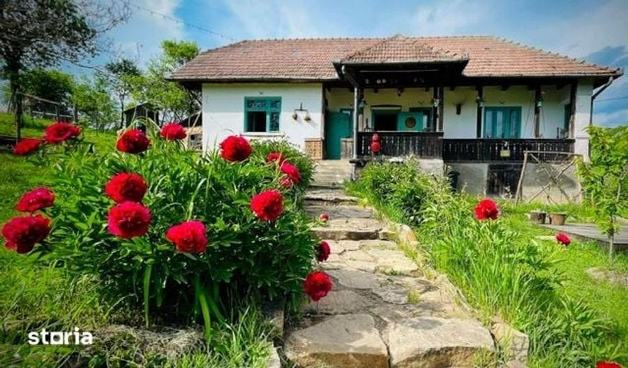 Casă cu 2 camere cu Teren 5032 Mp în Geaca