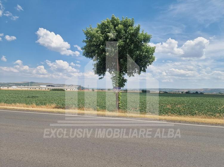 Teren agricol intravilan de 9100 mp, în Galda de Jos