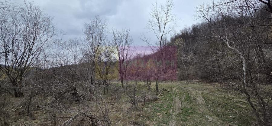 Teren agricol extravilan de 1006 mp, în Brebu