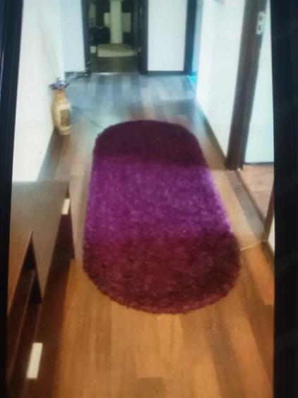 Apartament cu 2 camere decomandat în Craiovița Nouă