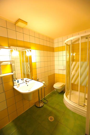 Casă individuală cu 7 camere cu Canalizare în Centrul Civic