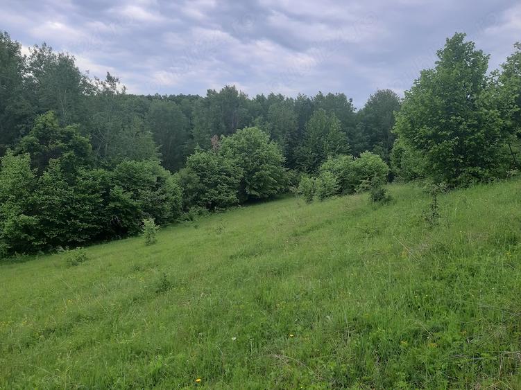 Teren de 2200 mp, în Dăești