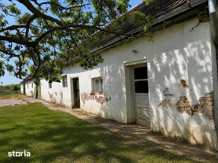 Proprietate imobiliara cu potential de dezvoltare - IMOBIHOR - 3