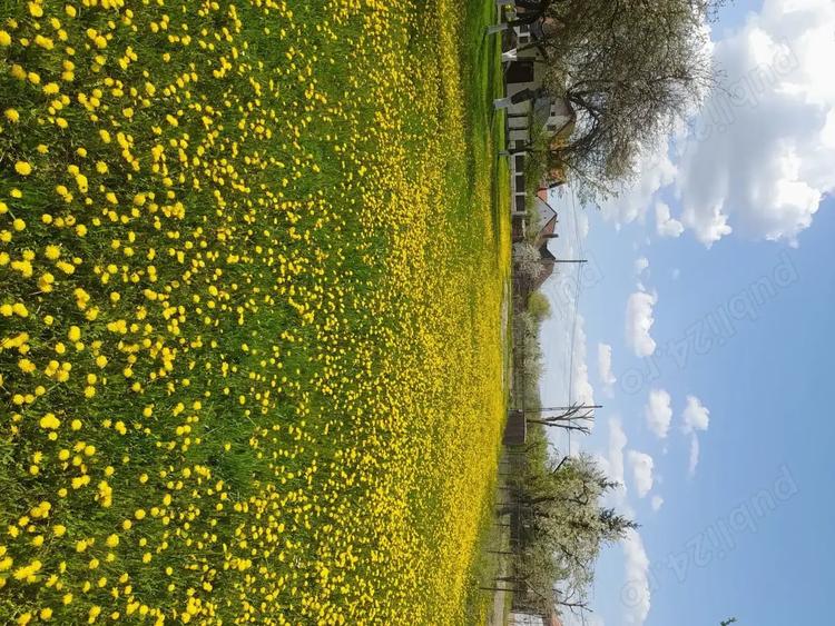 Teren de 1428 mp, în Băcel