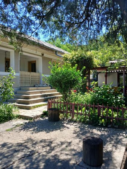 casa de vanzare in Zorleni - 1