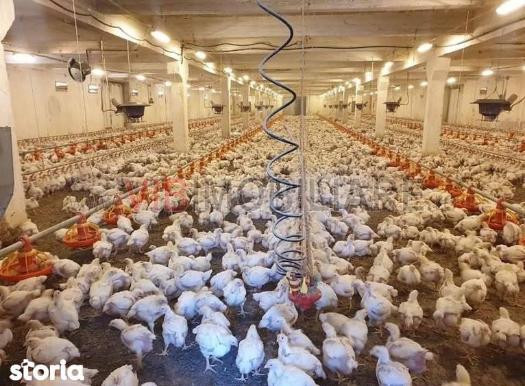 Teren de 35000 mp, în Funcționarilor