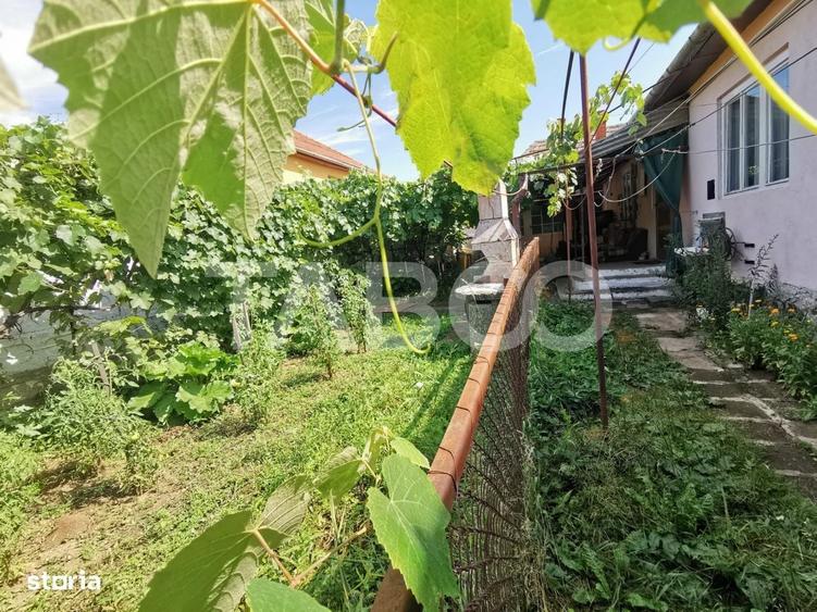 Casă cu 4 camere în Trei Stejari