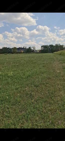 Teren de 6764 mp, în Chechiș