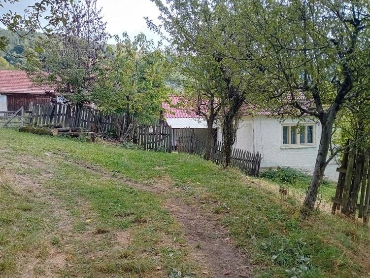 Teren de 50 mp, în Central
