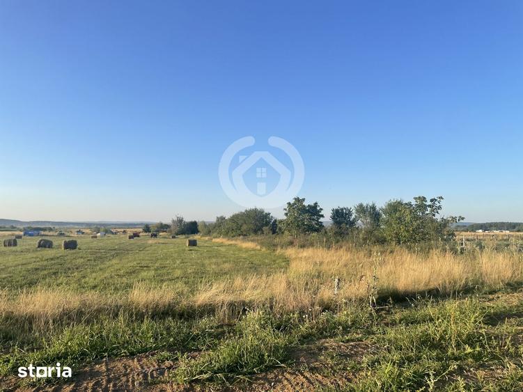 Teren intravilan in Poplaca | 1800 mp | Potential investitional - 3