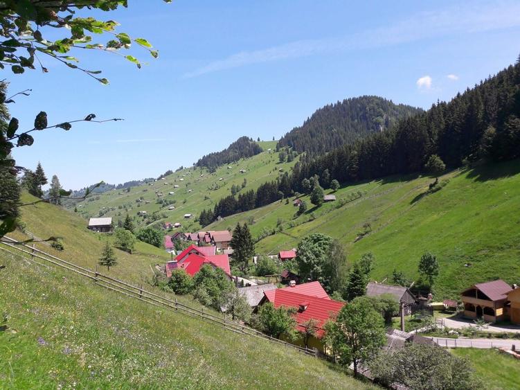 Teren de 4890 mp, în Moieciu