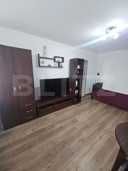 Apartament 2 camere, Tiglina 3,  etaj 2/4, decomandat, mobilat si renovat - 3