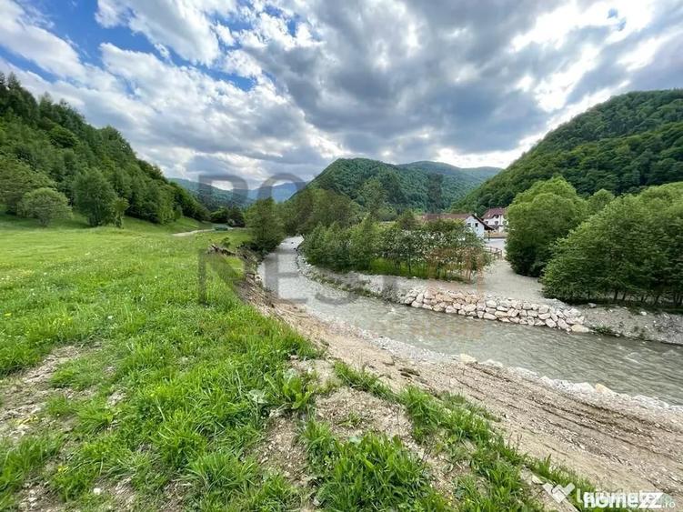 Teren de 12150 mp, în Plaiul Foii