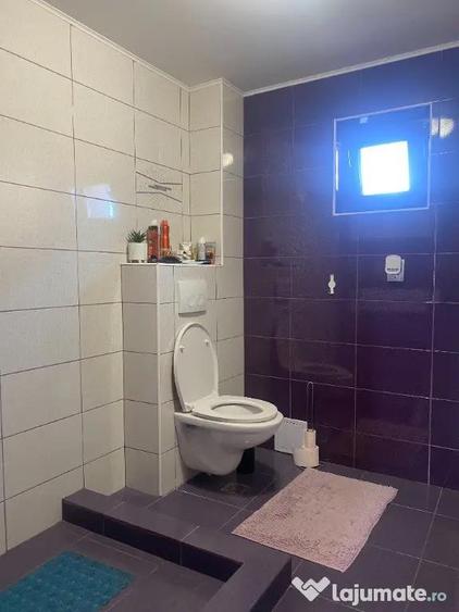 Casă cu 4 camere cu Teren 1200 Mp în Țintea