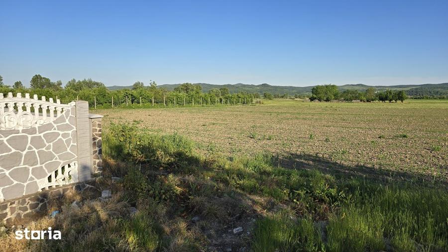 Teren de 2900 mp, în Ciceu-Mihăiești
