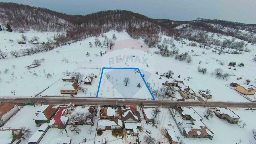 Teren Construcții intravilan de 3000 mp, în Damiș