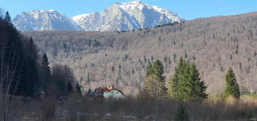 Teren Construcții intravilan de 39000 mp, în Ultracentral