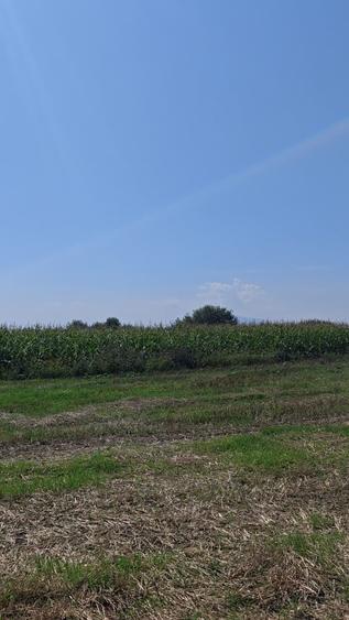 Teren agricol sau zona agrement HALCHIU - langa Lacuri si Balastiera - 6