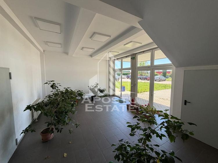 Spațiu industrial, de 1,453 mp, în Torontalului