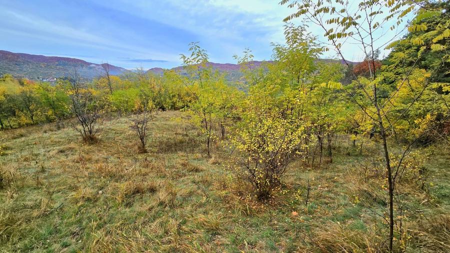 Teren agricol extravilan de 4570 mp, în Corbeni
