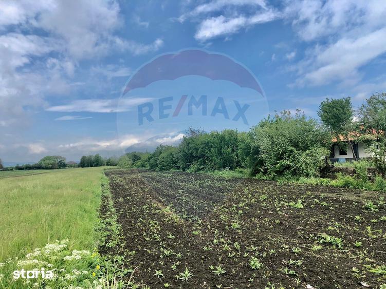 Teren de 3250 mp, în Stupini