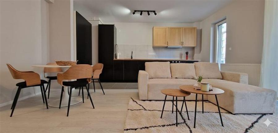 Apartament cu doua camere de inchiriat la Maurer - 4