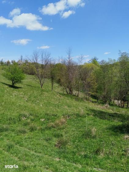 Teren de 7795 mp, în Golești