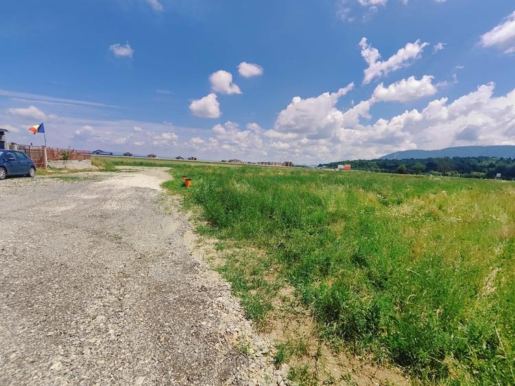 Teren Construcții intravilan de 603 mp, în Cristian