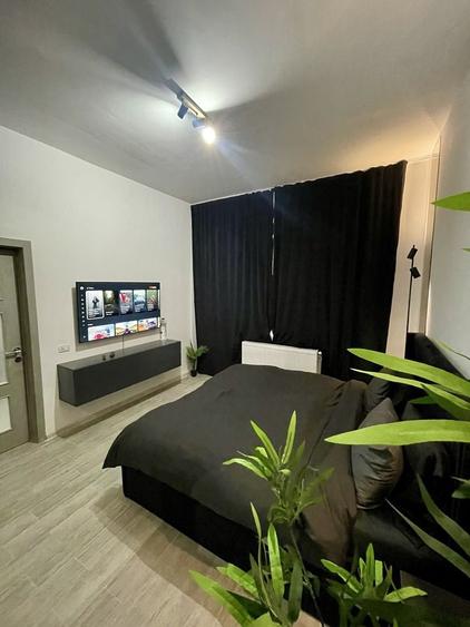 Apartament cu 2 camere, mobilat în Roșu