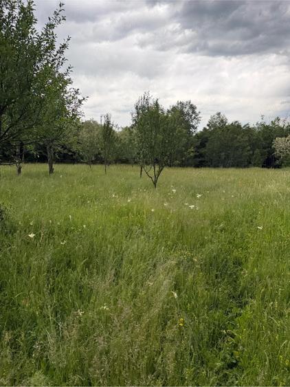 Teren de 4000 mp, în Ștubeiu