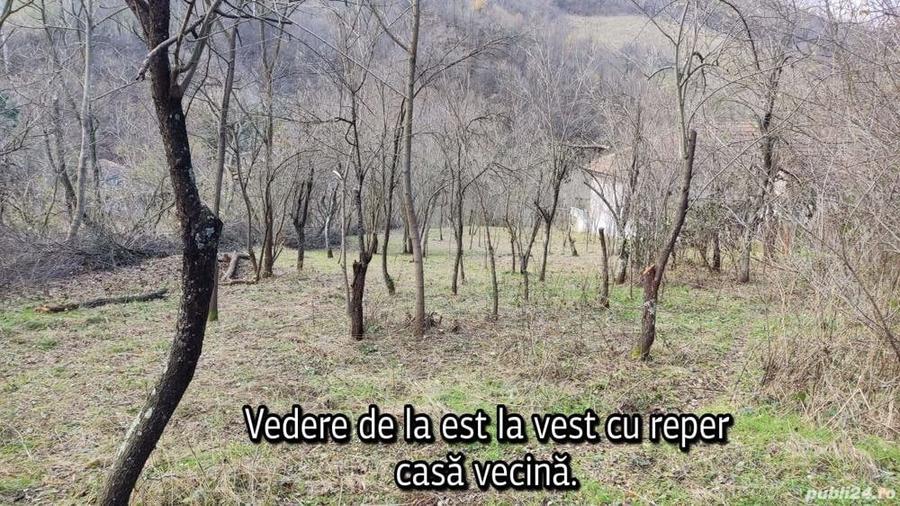 Teren în Pecinișca