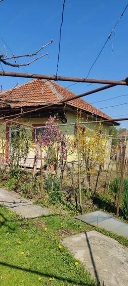 Casă cu 3 camere cu Teren 2000 Mp în Magherești