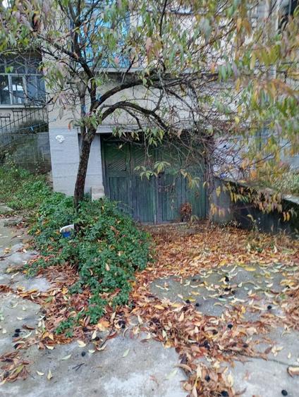 Casă cu 3 camere cu Teren 1700 Mp în Homorodu de Jos