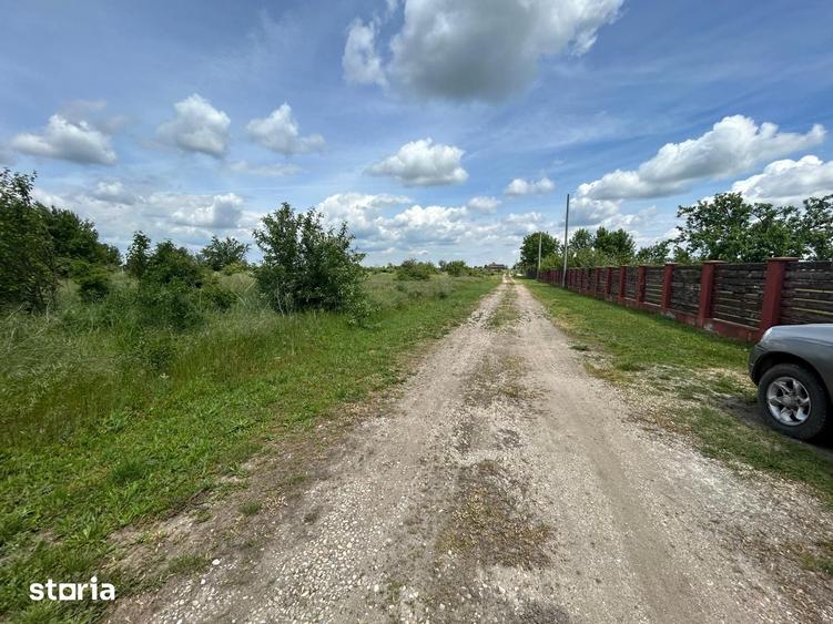 Teren de 575 mp, în Letca Nouă
