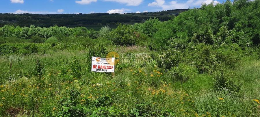 Teren Construcții de 2800 mp, în Tomești