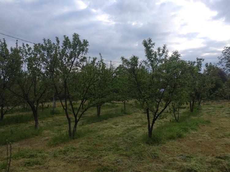 Casă individuală cu 2 camere cu Teren 3500 Mp în Corbii Mari