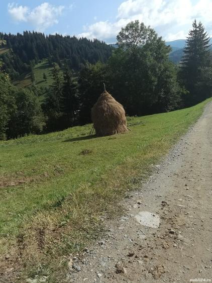 Teren de 1780 mp, în Central