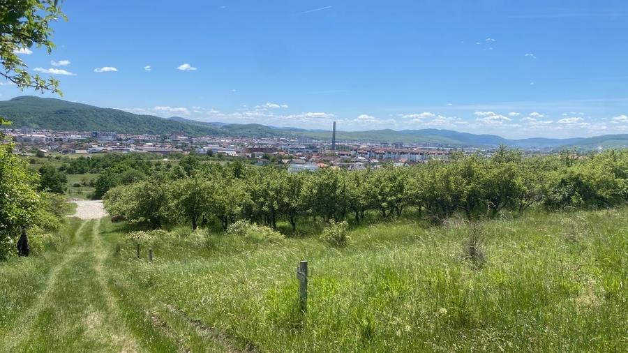 Teren extravilan de 2400 mp, în Est