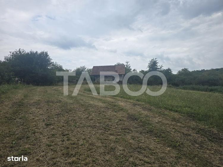 Teren de vanzare 8700 mp cu un front de 30m in Sura Mare - 7