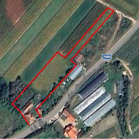 Casă cu 4 camere cu Teren 4122 Mp în Petid