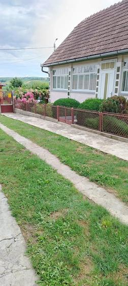 Casă cu Teren 5500 Mp în Pădurenii (Tritenii de Jos)