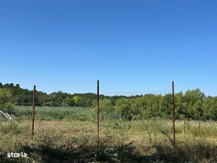 Teren cu deschidere la lac str Orhideelor-conectare imediata la curent - 4