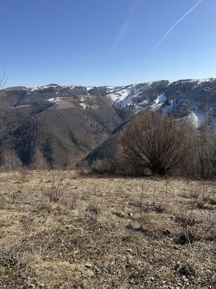 Vand teren , Marisel judetul Cluj - 7