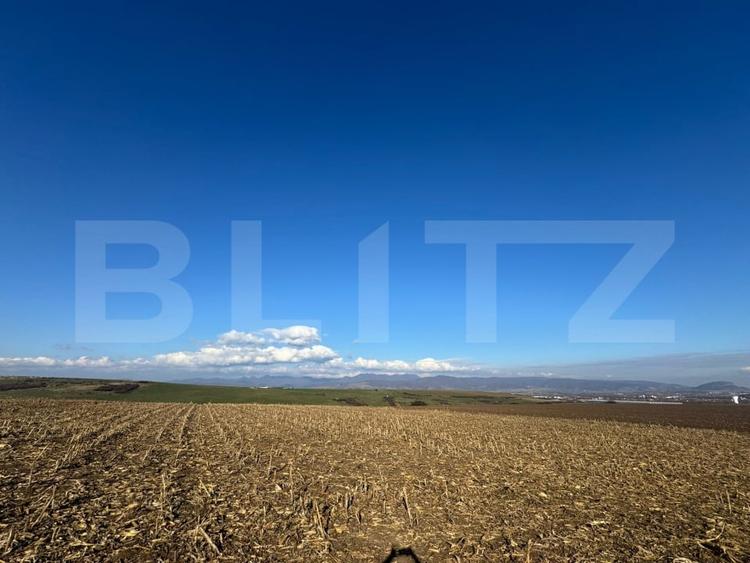 Teren agricol extravilan de 5700 mp, în Cristur